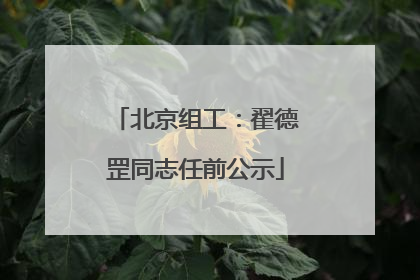 北京组工：翟德罡同志任前公示