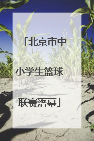 北京市中小学生篮球联赛落幕