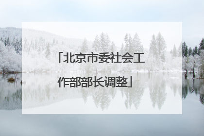 北京市委社会工作部部长调整