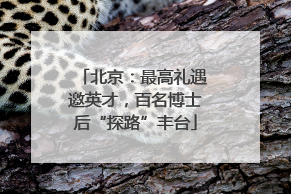 北京：最高礼遇邀英才，百名博士后“探路”丰台
