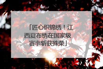 匠心织锦绣！江西夏布绣在国家级赛事斩获殊荣