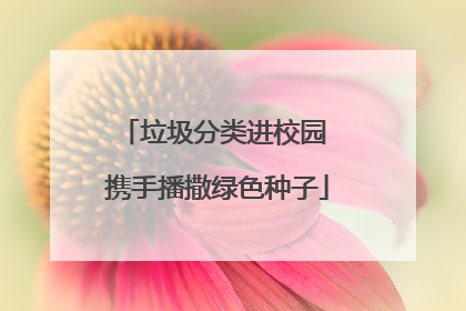 垃圾分类进校园 携手播撒绿色种子