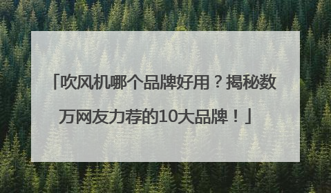 吹风机哪个品牌好用？揭秘数万网友力荐的10大品牌！