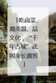 吃卤菜、观美景、品文化，“千年古城”武冈来长邀客