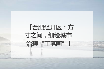 合肥经开区：方寸之间，细绘城市治理“工笔画”