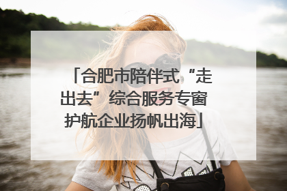 合肥市陪伴式“走出去”综合服务专窗护航企业扬帆出海