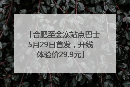 合肥至金寨站点巴士5月29日首发，开线体验价29.9元
