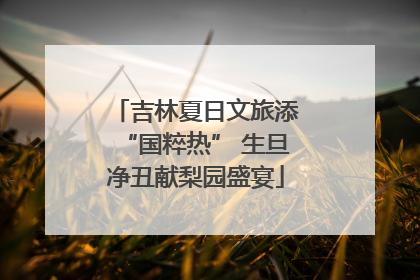 吉林夏日文旅添“国粹热” 生旦净丑献梨园盛宴