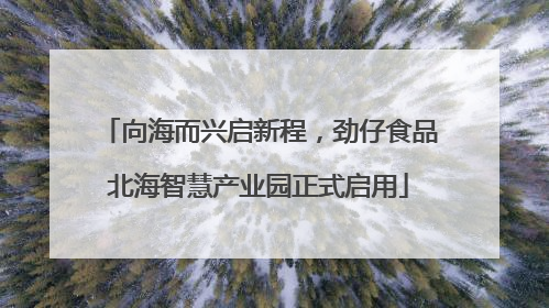 向海而兴启新程，劲仔食品北海智慧产业园正式启用