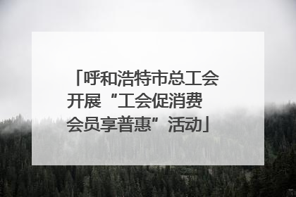 呼和浩特市总工会开展“工会促消费 会员享普惠”活动