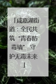 咸嘉湖街道：全民共筑“青春防毒墙” 守护无毒未来