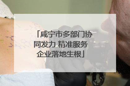 咸宁市多部门协同发力 精准服务企业落地生根