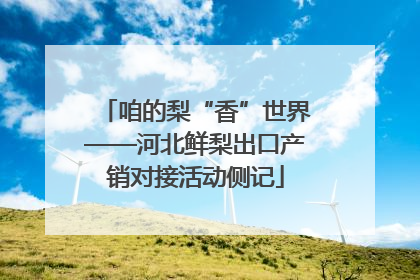 咱的梨“香”世界——河北鲜梨出口产销对接活动侧记