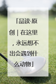 品读·原创｜在这里，永远想不出会遇到什么动物