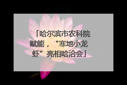 哈尔滨市农科院赋能，“寒地小龙虾”亮相哈洽会
