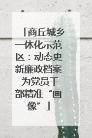 商丘城乡一体化示范区：动态更新廉政档案 为党员干部精准“画像”