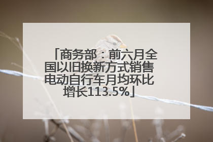 商务部：前六月全国以旧换新方式销售电动自行车月均环比增长113.5%