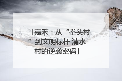 嘉禾：从“拳头村”到文明标杆 清水村的逆袭密码