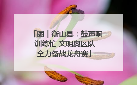 图｜衡山县：鼓声响 训练忙 文明奥区队全力备战龙舟赛