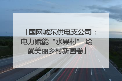 国网城东供电支公司：电力赋能“水果村” 绘就美丽乡村新画卷