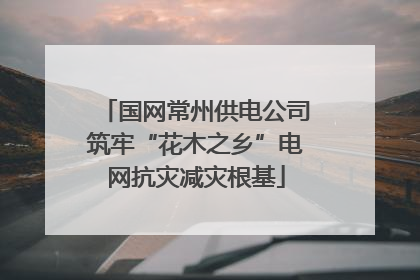 国网常州供电公司筑牢“花木之乡”电网抗灾减灾根基