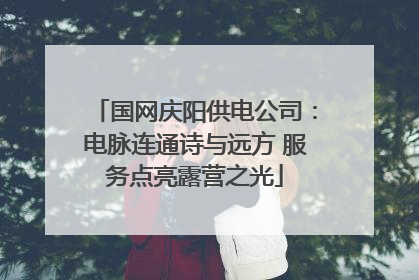国网庆阳供电公司：电脉连通诗与远方 服务点亮露营之光