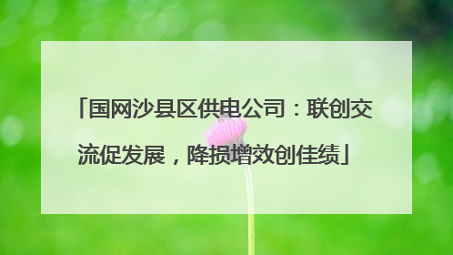 国网沙县区供电公司：联创交流促发展，降损增效创佳绩