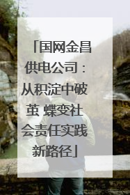 国网金昌供电公司：从积淀中破茧 蝶变社会责任实践新路径