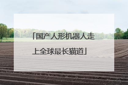 国产人形机器人走上全球最长猫道