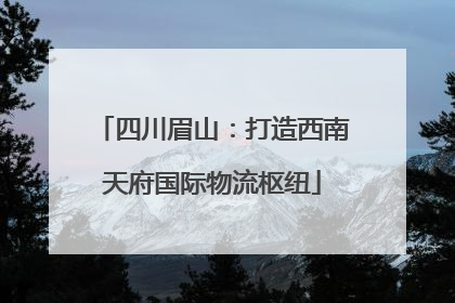 四川眉山：打造西南天府国际物流枢纽