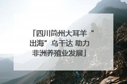 四川简州大耳羊“出海”乌干达 助力非洲养殖业发展