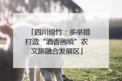 四川绵竹：多举措打造“酒香画境”农文旅融合发展区