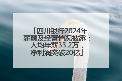 四川银行2024年薪酬及经营情况披露：人均年薪33.2万，净利润突破20亿