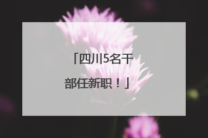 四川5名干部任新职！