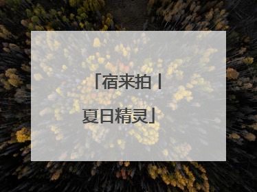 宿来拍丨夏日精灵