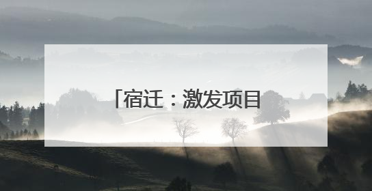 宿迁：激发项目“引擎” 挺起发展“脊梁”
