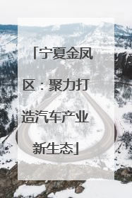 宁夏金凤区：聚力打造汽车产业新生态