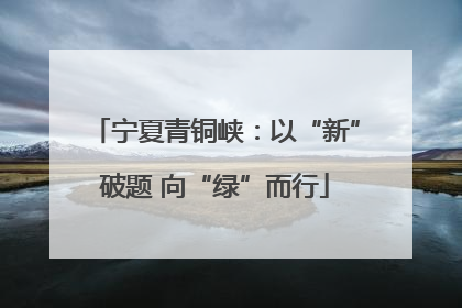 宁夏青铜峡：以“新”破题 向“绿”而行