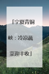 宁夏青铜峡：冷凉蔬菜迎丰收