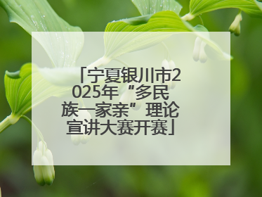 宁夏银川市2025年“多民族一家亲”理论宣讲大赛开赛
