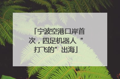 宁波空港口岸首次，四足机器人“打飞的”出海