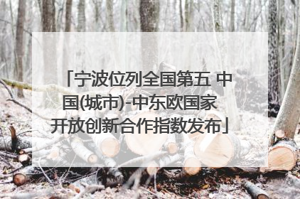 宁波位列全国第五 中国(城市)-中东欧国家开放创新合作指数发布