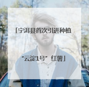 宁洱县首次引进种植“云淀1号”红薯