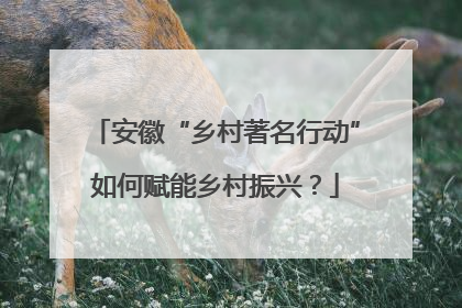 安徽“乡村著名行动”如何赋能乡村振兴？