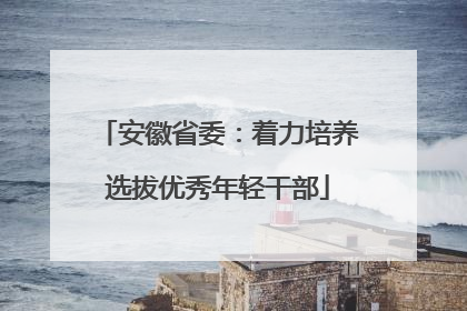 安徽省委：着力培养选拔优秀年轻干部