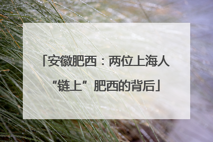 安徽肥西：两位上海人“链上”肥西的背后