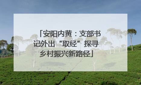 安阳内黄：支部书记外出“取经”探寻乡村振兴新路径