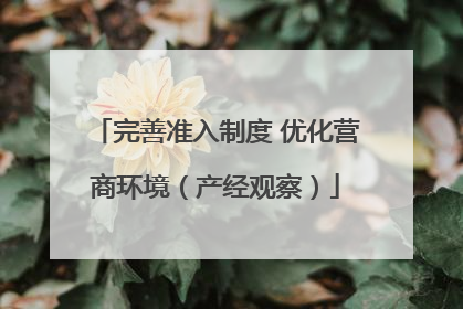 完善准入制度 优化营商环境（产经观察）