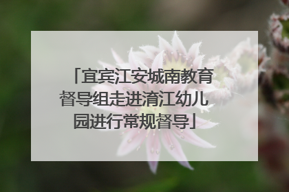 宜宾江安城南教育督导组走进淯江幼儿园进行常规督导