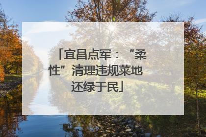 宜昌点军：“柔性”清理违规菜地 还绿于民